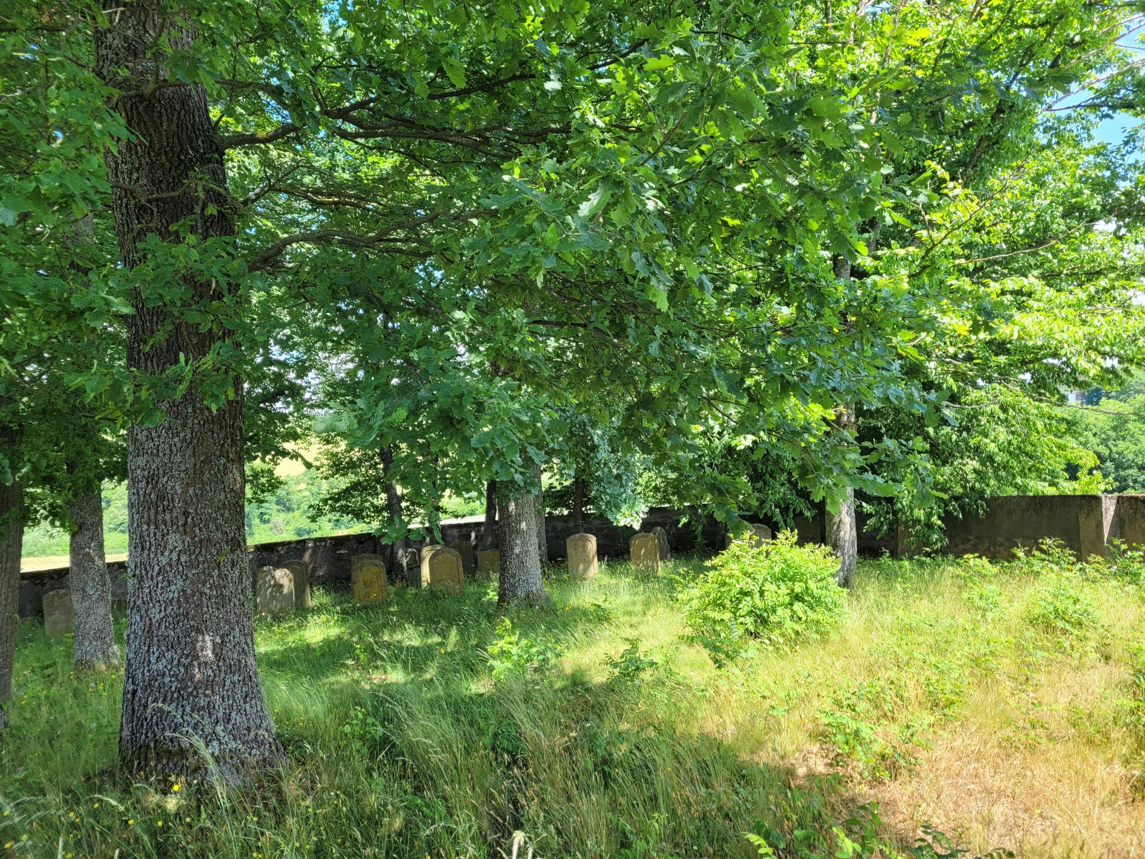 Judenfriedhof